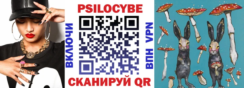 где можно купить   Михайловка  Псилоцибиновые грибы Magic Shrooms 