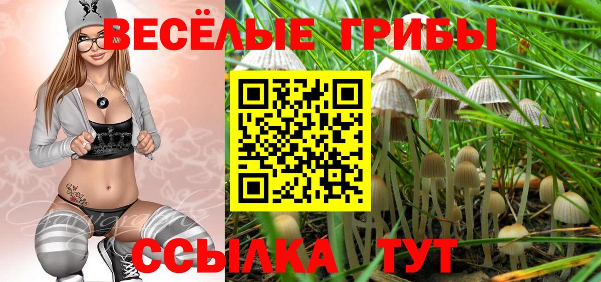 Псилоцибиновые грибы Psilocybe  Галлюциногенные грибы ЛСД  Вход с VPN  Михайловка 