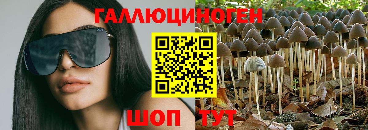 Псилоцибиновые грибы мицелий Михайловка