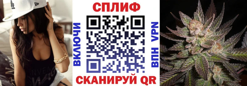 МАРИХУАНА ГИДРОПОН  Михайловка 