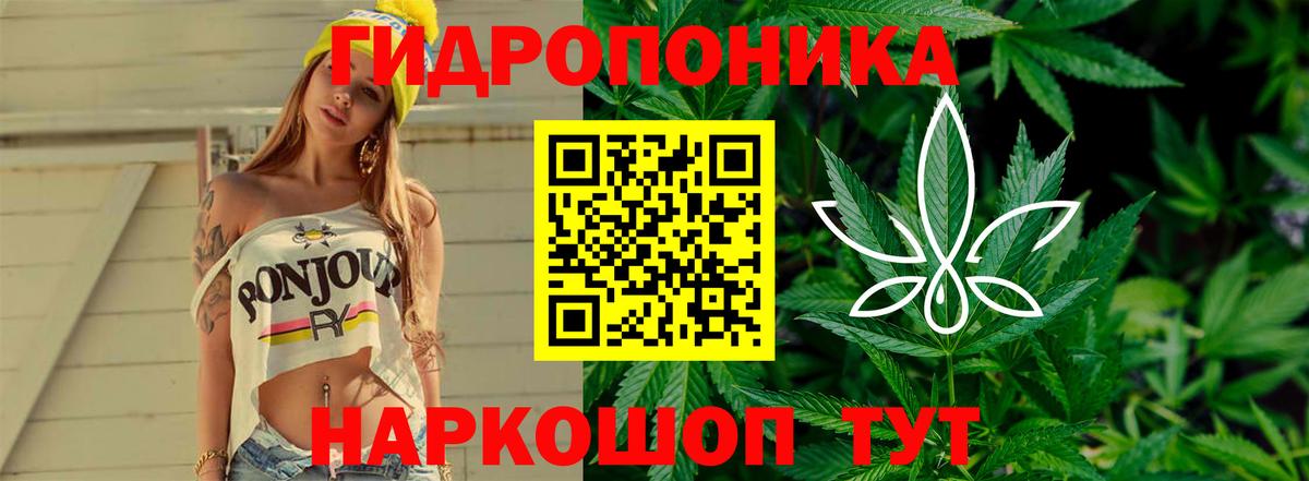 Канабис ГИДРОПОН  Бошки марихуана White Widow  Конопля White Widow  Михайловка 